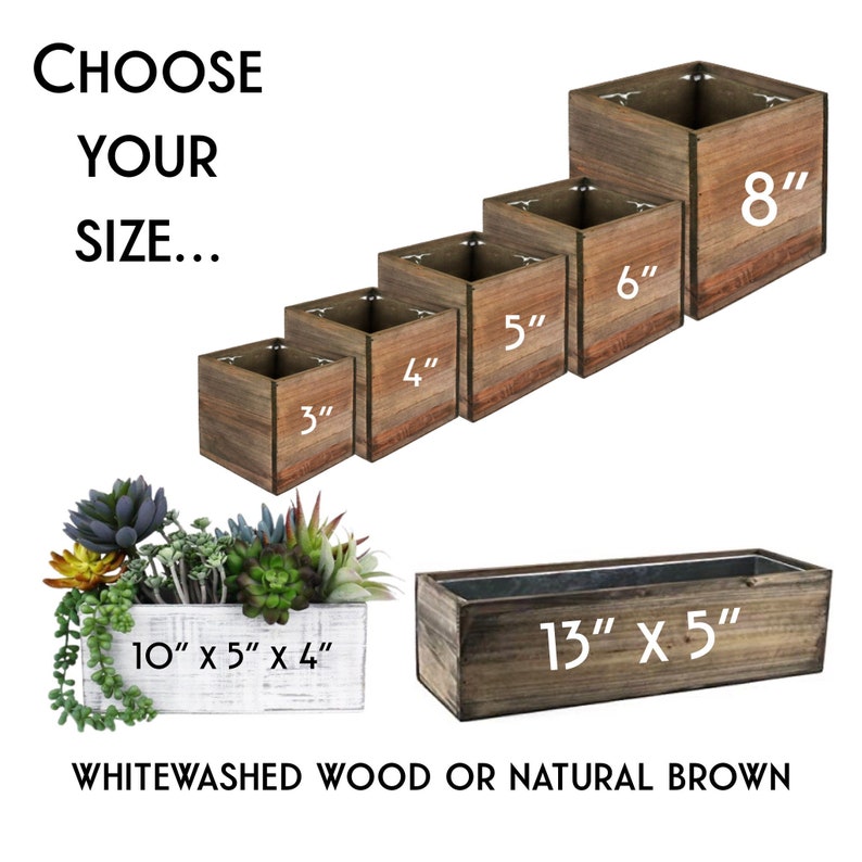 Book Planter So Many Books Reading Lover Gift Gift for image 3