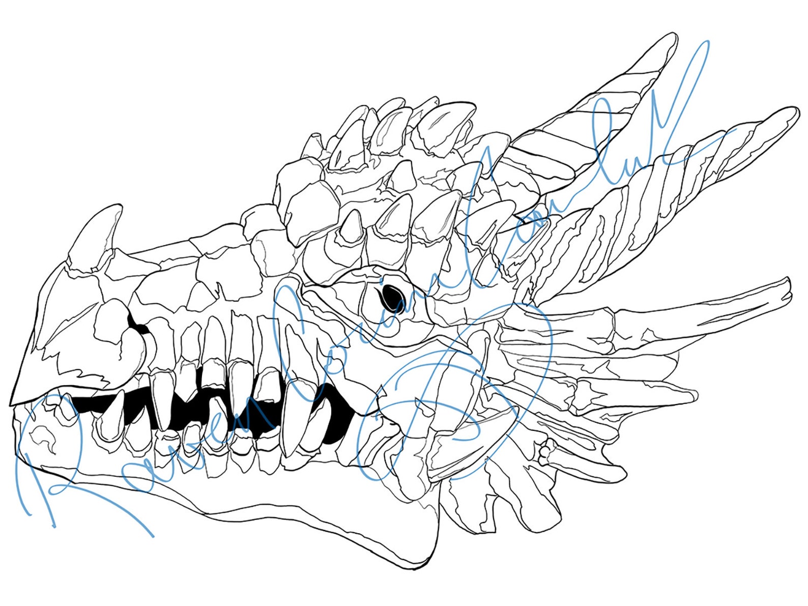 Dragon Skull Coloring Page Digital Download - Etsy