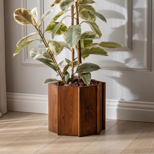 May include: A Ficus elastica 'Variegata' plant in a wooden planter. The plant has green and cream-coloured leaves. The planter is a dark brown, geometric shape, and sits on a light wood floor. The planter is made of wood.