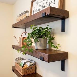 Pode incluir: Três prateleiras flutuantes de madeira castanho-escura montadas com suportes de metal preto. A prateleira superior contém frascos de vidro e uma placa. A prateleira do meio apresenta um regador de cobre e uma planta verde num vaso cinzento.