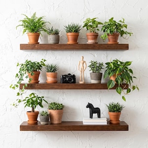 May include: Three dark brown wooden floating shelves mounted on a white textured wall. The shelves hold various potted green plants, a black vintage-style camera, a wooden artist mannequin, a black horse figurine, and a stack of white books.