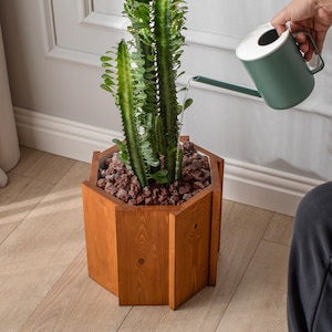 Pode incluir: Um cacto verde alto em um plantador hexagonal de madeira está sendo regado com um regador verde. O plantador é preenchido com pedras marrons avermelhadas. O plantador de madeira fica em um piso de madeira clara.