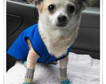 Itsy Bitsy Doggie Socks Pattern PDF