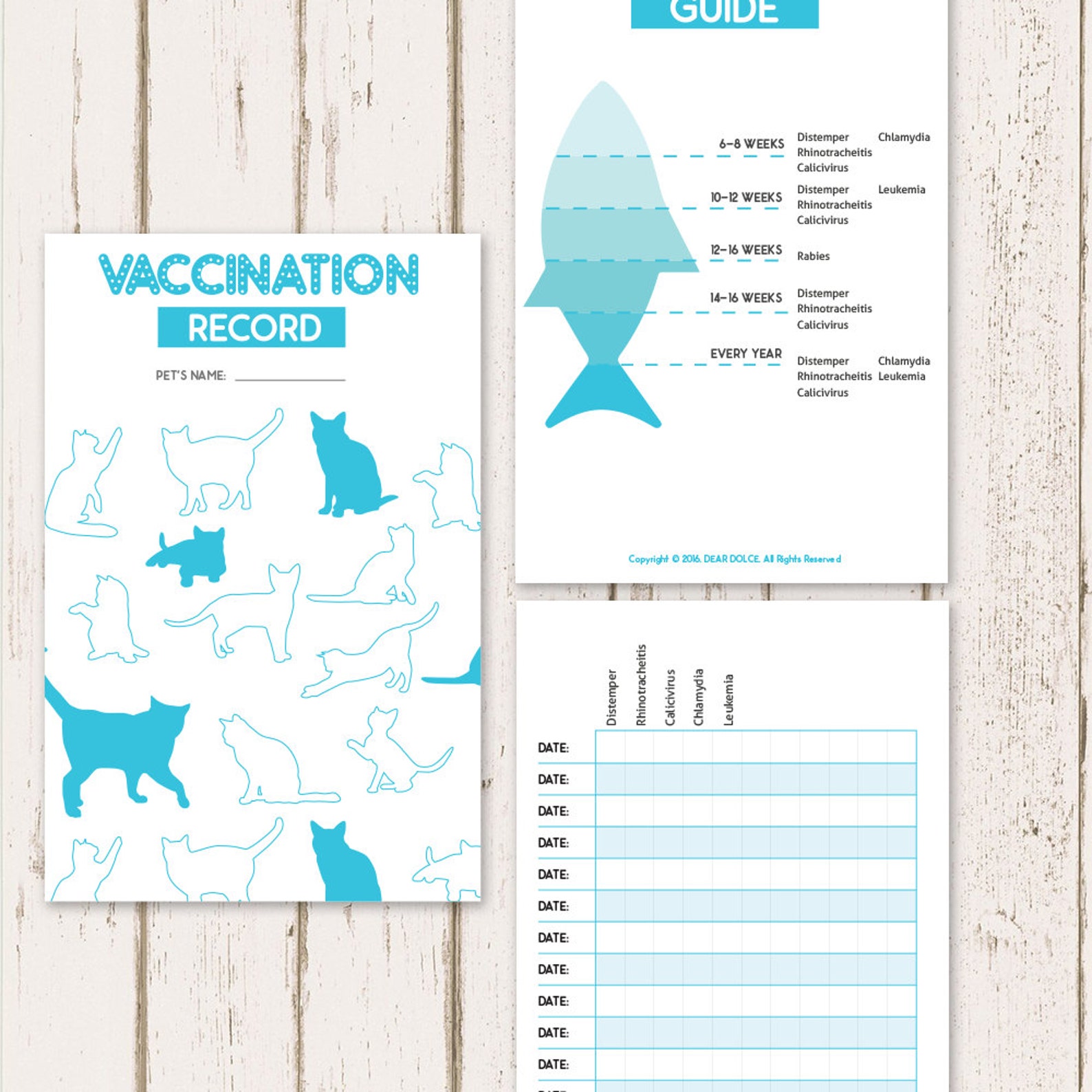 Printable Cat Vaccine Health Record Pet Care Record Book