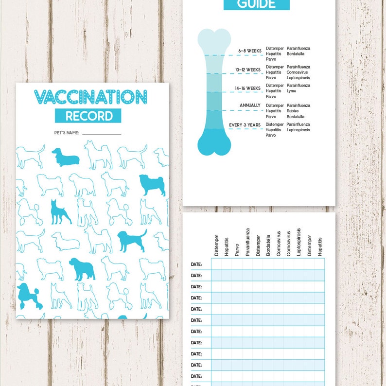 Printable Puppy Vaccine Exercise History Dog Treatment History Guide Immediate PDF Obtain - Blue photo relating to Dog Vaccination Record Printable Pdf named Printable Canine Vaccine Fitness History Dog Treatment Background Reserve Quick PDF Down load - Blue