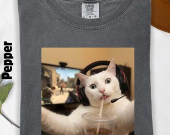 Funny Gamer Cat Meme Shirt: Tactical Kitty Joke Tee, Gen Z Brainrot Sweatshirt