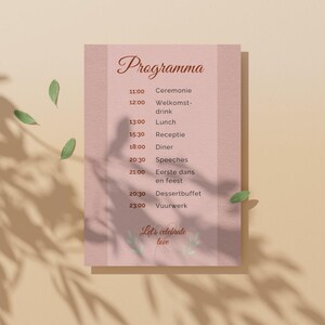 Op de afbeelding: Een roze trouwprogramma kaart met het woord "Programma" in script. Het schema bevat tijden voor de ceremonie, receptie, diner, toespraken en vuurwerk. De zin "Let's celebrate love" staat onderaan.