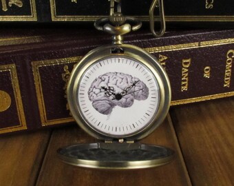 Reloj anatómico de bolsillo cerebral