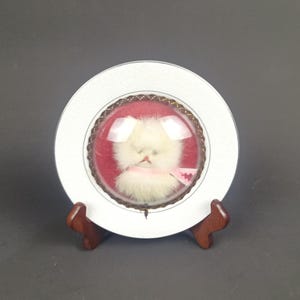 May include: A white decorative plate featuring a small, fluffy, white cat figure encased in a glass dome. The cat wears a pink bow and sits against a red backdrop. The plate is displayed on a wooden stand.