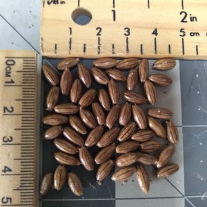 50 Count. Small Natural Autumn Olive Seed Bead ~1 mm or 3/64'' Hole.