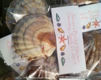 May include: Seashell favors in clear plastic bags, perfect for a bridal shower. Each shell is a natural beige color with brown markings. The bags have a small card that reads "Alexis's Bridal Shower, Sunday, April 21, 2013" with starfish and seashell illustrations.