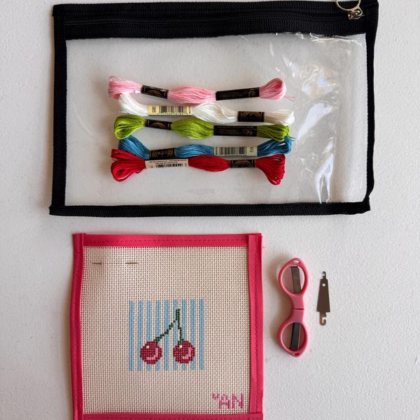 Cherry Needlepoint Kit Beginner, Embroidery Art Craft Project