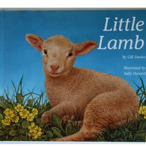 May include: A children's book cover featuring a light brown lamb with a soft, fluffy coat. The title "Little Lamb" is displayed in white text against a blue sky background. Green grass and yellow flowers are in the foreground.