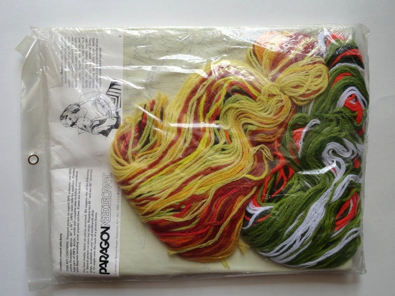 Paragon Crewel Embroidery Kit Floral Rhapsody 0408 Georgia Ball
