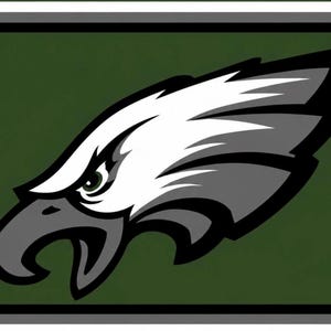 Op de afbeelding: Een grafisch ontwerp met een gestileerde adelaarskop in wit, grijs en zwart op een donkergroene achtergrond. De tekst GO staat bovenaan en de tekst BIRDS staat onderaan, beide in een vetgedrukt wit bloklettertype.