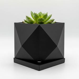 May include: A black geometric planter with a succulent plant. The planter is square with a faceted design and sits on a matching square base. The succulent has green leaves.