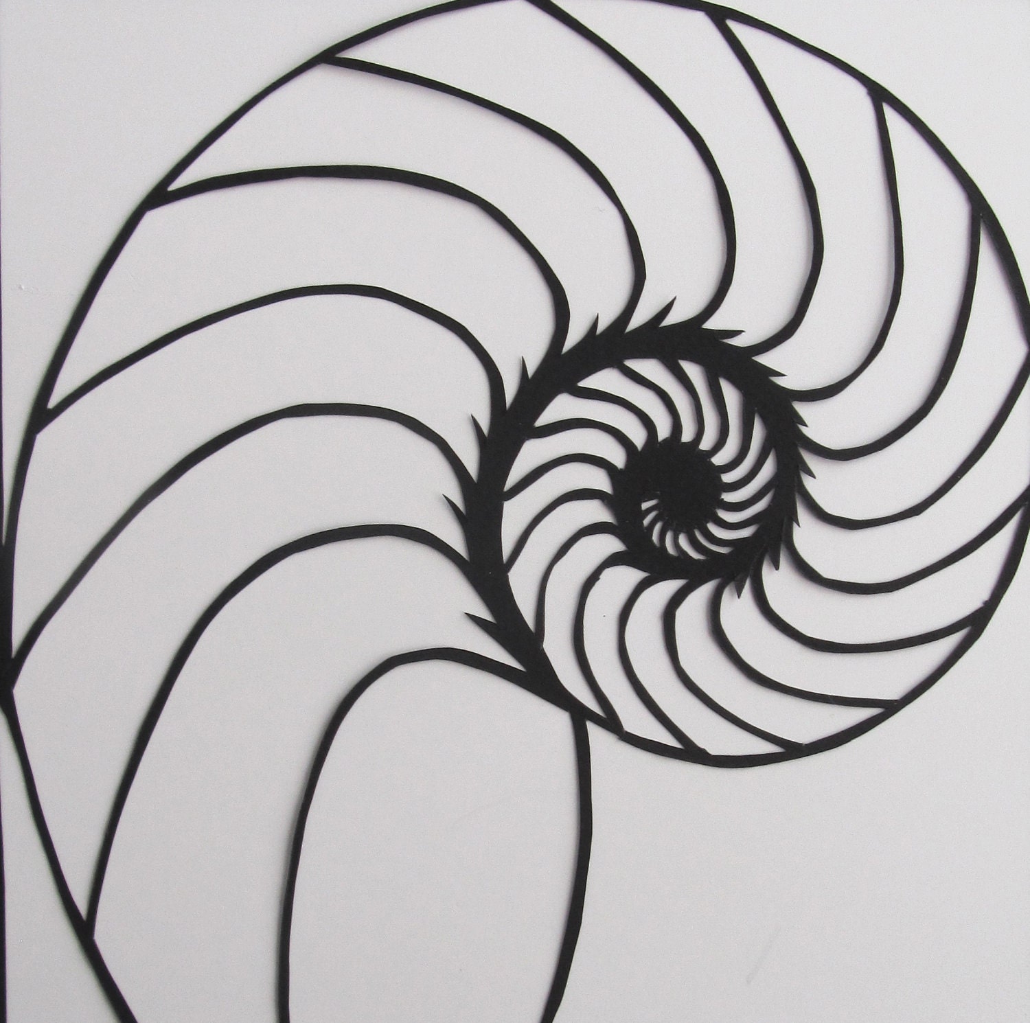 Nautilus Shell Silhouette Paper Cutout Handcut In Black Etsy France