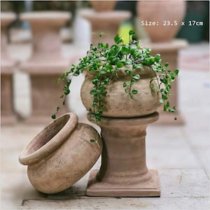 May include: Two terracotta-coloured planters, one upright with a trailing green plant and the other tilted on its side. The upright planter is on a pedestal. The dimensions are 23.5cm x 17cm.
