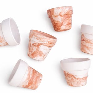 Puede incluir: Seis pequeñas macetas de cerámica. Las macetas tienen un borde blanco y un diseño veteado en tonos melocotón y crema. Las macetas están dispuestas sobre un fondo blanco.