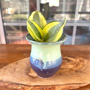 May include: A small, hand-painted ceramic vase in shades of light green, blue, and purple, holding a snake plant. The plant's leaves are a vibrant yellow and green. The vase sits on a wooden, oval-shaped serving board.