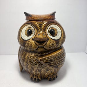 May include: A brown ceramic owl cookie jar with a removable lid. The owl features large black eyes surrounded by white circular rings, a pointed beak, and detailed feather textures across its body. The glaze is a glossy, variegated brown tone.