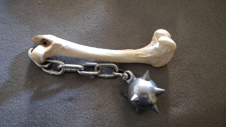 May include: A medieval-style flail weapon. The flail features a bone handle connected to a chain and a spiked metal ball. The bone is off-white, the chain is silver, and the ball is metallic.