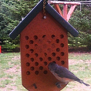 May include: A brown wooden bird feeder with a black roof hangs from a chain. A small gray bird is perched on the feeder, eating from the holes.
