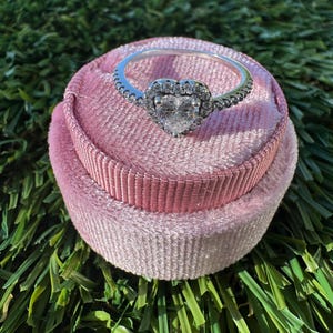 May include: A silver ring with a heart-shaped center stone, surrounded by smaller stones, rests on a pink velvet ring box. The ring is set against a backdrop of green grass, creating a contrast of textures and colors.