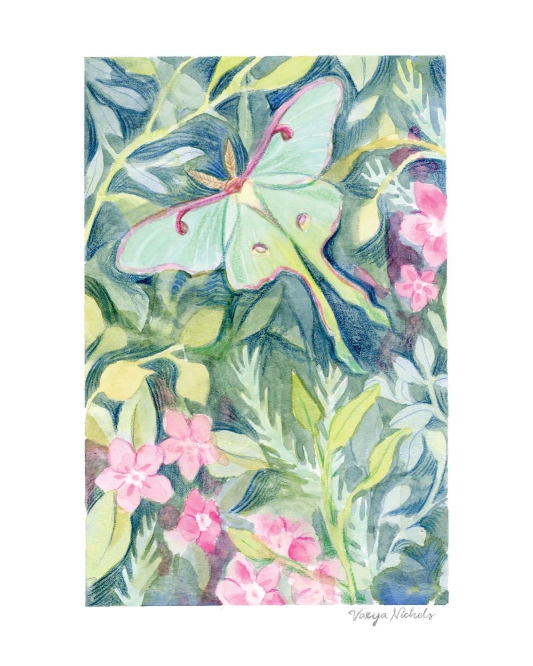 Luna Moth Watercolor Giclée Print: 8x10 Nature Art Painting - Etsy