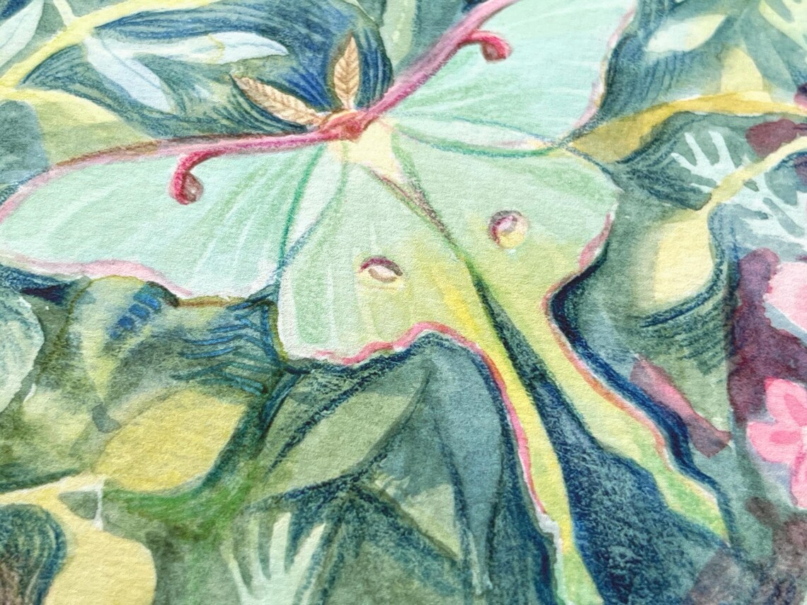 Luna Moth Watercolor Giclée Print: 8x10 Nature Art Painting - Etsy