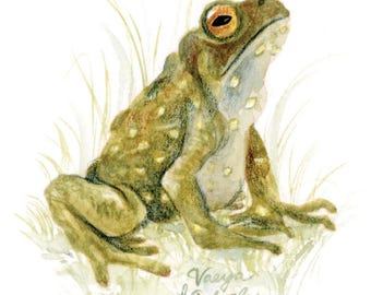 Watercolor Frog Giclée Print: 5x7 Nature Art Painting