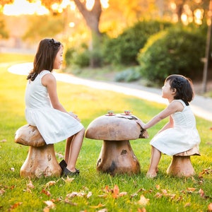 Reclaimed Teak Root Mushroom Stool Natural Wood Stool Chair Home & Garden Decor image 1