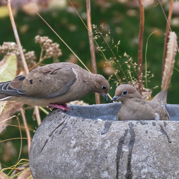 Natural Hand-Carved River Stone Bird Bath Bowl