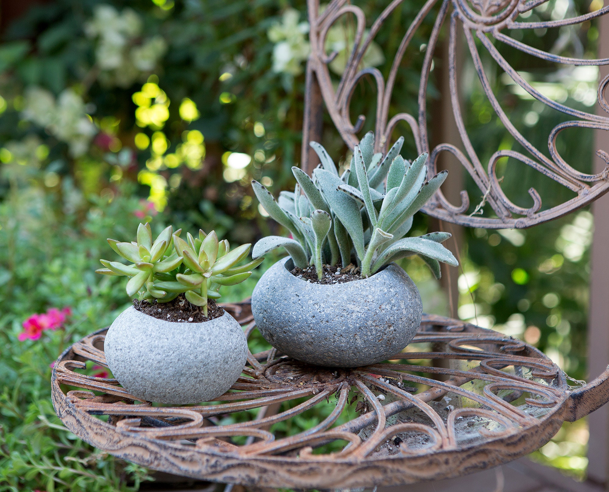 River Stone Pot Natural Rock Planter -  Israel