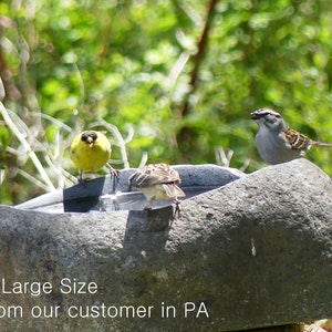 XLarge - Cuenco de baño para pájaros de piedra de río natural tallado a mano