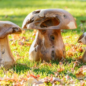 Reclaimed Teak Root Mushroom Stool Natural Wood Stool Chair Home & Garden Decor image 4