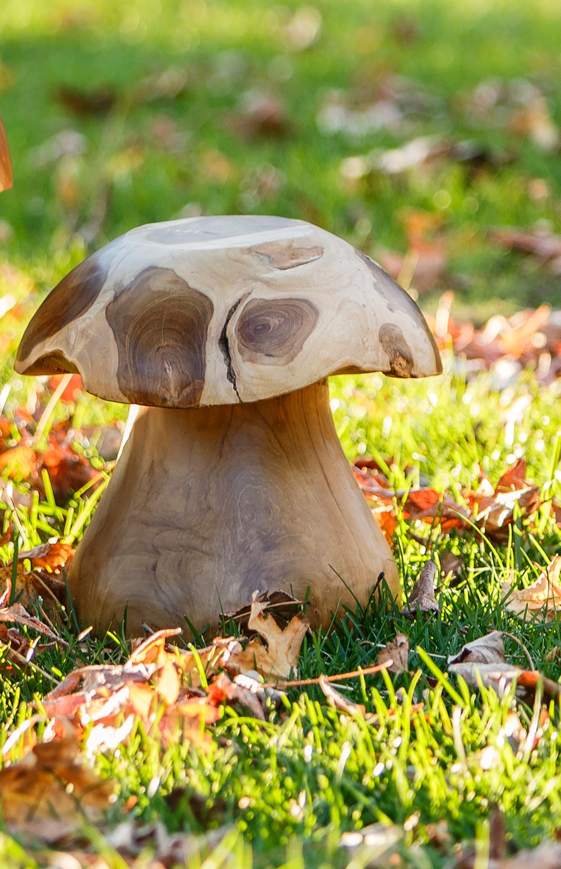 Reclaimed Teak Root Mushroom Stool Natural Wood Stool Chair Home & Garden Decor Small - 13"H