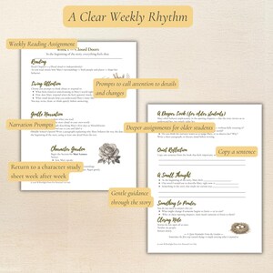 Może przedstawiać: Arkusz tygodniowy z zadaniami do czytania, zatytułowany 'A Clear Weekly Rhythm'. Zawiera sekcje dotyczące czytania, uwagi, narracji i analizy postaci. Zawiera grafikę r&oacute;ży i ilustrację gniazda.