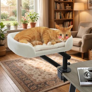 May include: A white cat bed with a soft, plush interior, mounted on a black adjustable arm. An orange tabby cat is resting comfortably in the bed. The bed is attached to a desk with a clamp.