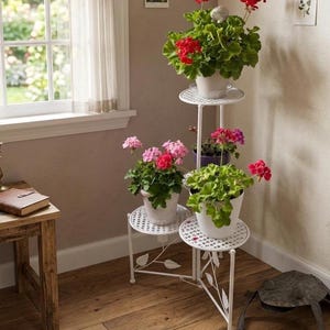 May include: A white metal plant stand with three tiers, each holding a potted plant with vibrant red, pink, and green foliage. The stand is in a corner of a room with a wooden floor and a window.
