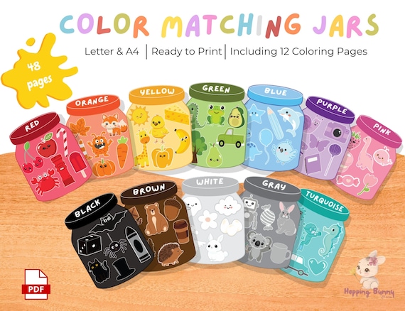 Montessori Color Sorting Game | Preschool Learning Activity (PDF Pattern)