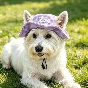 Könnte beinhalten: Ein weißer West Highland Terrier-Hund trägt einen lavendelfarbenen Cordhut mit dem Namen "Zoe" darauf. Der Hund liegt auf grünem Gras und schaut direkt in die Kamera.