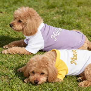 Può includere: Due cani che indossano magliette. Un cane indossa una maglietta color lavanda con maniche bianche e il nome Hallie ricamato in bianco. L'altro cane indossa una maglietta bianca con maniche gialle e il nome Maeve ricamato in filo dorato.