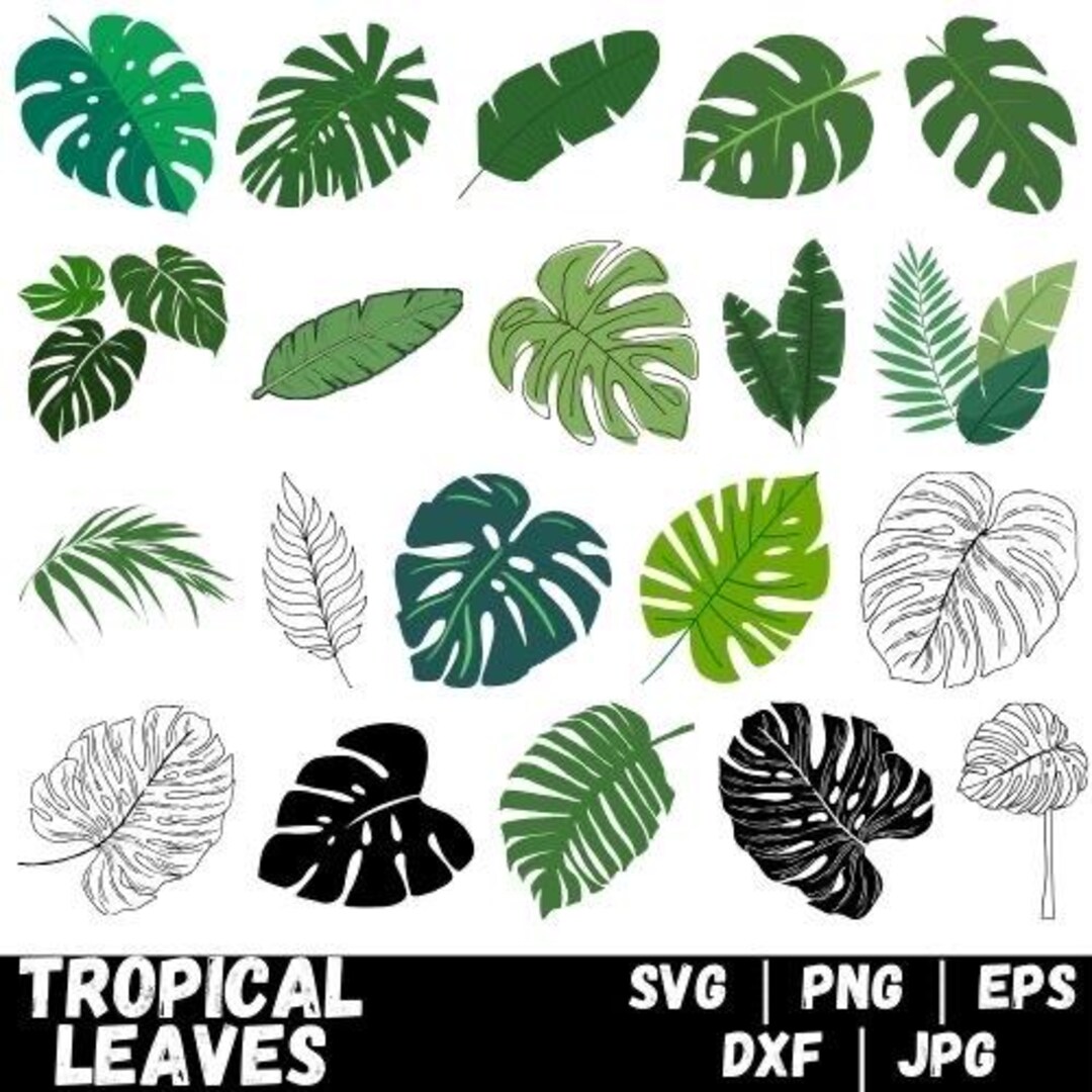Tropical Leaves Svg, Monstera Leaf Svg Clipart, Commercial Use Svg ...