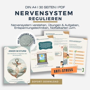 Het zenuwstelsel reguleren (PDF) – Werkboek: ademhalings- en kloptechnieken, noodkaarten, wekelijkse reflecties, stressmanagement, mindfulness. Downloaden