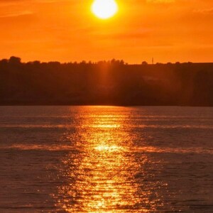 May include: A vivid sunset scene over water. The sun, a bright disc, reflects a golden light across the water. The sky is a gradient of orange and yellow, with a dark silhouette of trees and land in the distance.