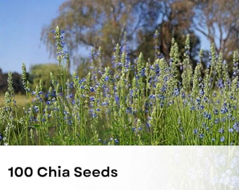 100 Chia Seeds | Salvia hispanica | NON-GMO | Easy-Grow Edible & Ornamental Herb | Pollinator Friendly | Free Shipping