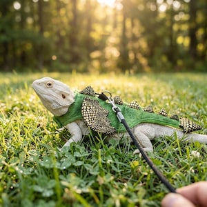 May include: A pale bearded dragon wearing a green harness with a black lead, walking on grass. The harness has a patterned design on the sides and back, with decorative spikes. The scene is outdoors.