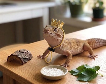 Hagedis-/reptielkostuums, kronen, hoeden, kettingen, vakantiecadeaus