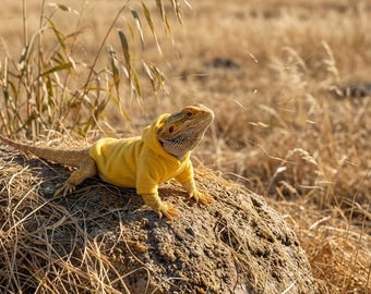 Lizard Hoodie, Warm Lizard Clothing, Handmade Reptile Clothing, Gecko Sweater, Pet Reptile Transformation Outfit for Outings